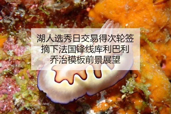 hu-ren-xuan-xiu-ri-jiao-yi-de-ci-lun-qian-zhai-xia-fa-guo-feng-xian-ku-li-ba-li-qiao-zhi-mu-ban-qian-jing-zhan-wang-2-588.jpg